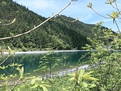 -武陵山森林公园