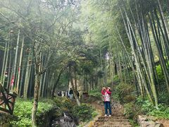 -莫干山风景区
