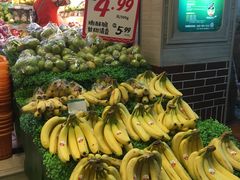 -百果园PAGODA(菊香苑店)