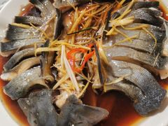 -煲来饱去冷水鱼