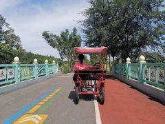 -上海长兴岛郊野公园