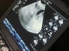 -瑞派蒂凯宠物医院·免疫点·宠保定点