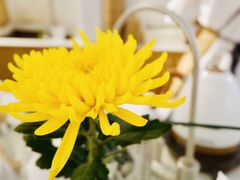 -Cafe on warm(丹霞店)