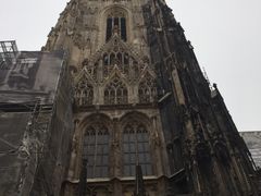 -斯蒂芬主教座堂(Stephansdom)