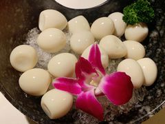 -新哥老官·畅吃123·美蛙世界(苏宁广场店)