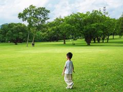 -东莞植物园