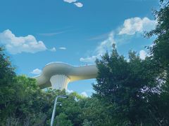 -飞凤山奥体公园