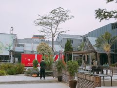 -凤城·食都