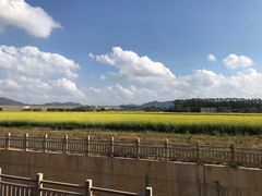 -光明小镇欢乐田园