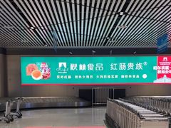 -哈尔滨太平国际机场-T2航站楼