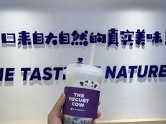 -一只酸奶牛(时代天街A馆店)