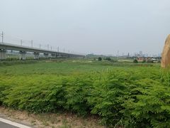 -光明小镇欢乐田园