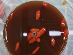 -红鼻子桂林米粉(金唐新光界店)