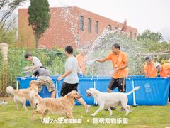 -趣玩宠物乐园寄养训犬训狗游泳池