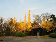 -宜兴龙背山森林公园