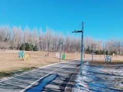 -五环公园