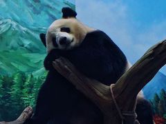 -武汉动物园