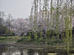 -堤角公园