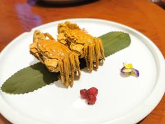 -姜君·千岛湖鱼头馆(浦东大道店)