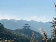 -大围山国家森林公园