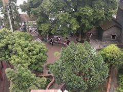 -东莞市可园博物馆