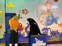 -太平洋海底世界