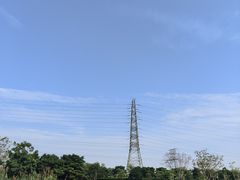 -王借岗森林公园