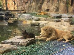 -秦皇岛野生动物园