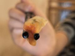 -难忘的面(五矿君澜酒店)