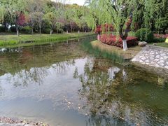 -上海鲜花港