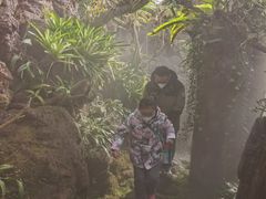 -南通洲际绿博园