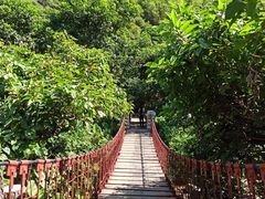 -梧桐山风景名胜区