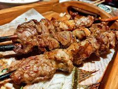 红柳烤串-纳瓦新疆菜(银都店)
