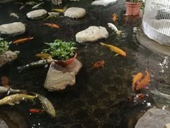 -南昌动物园