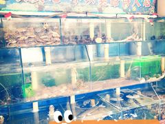 水产区-来之顺海鲜菜馆·青岛菜(栈桥店)