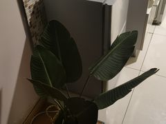 -秘境影院式酒店(苏州平江万达广场店)