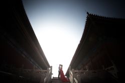 484A0146-THE QUEEN(北京店)