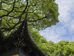 -虞山风景区