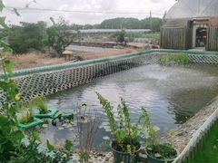 -美家乐农庄·露营·团建(大治路店)