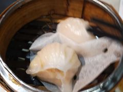 -糖朝(尖沙咀店)