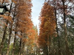 -狼山风景名胜区