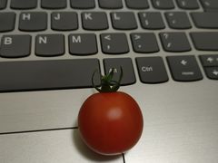 -听说碳烧蛙(高新万达店)