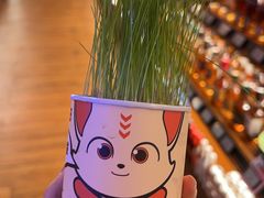 -COMMUNE幻师(创意园店)