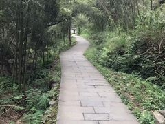 -石台牯牛降景区