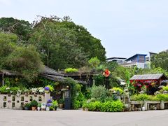 -清水湖度假村(罗浮山美食地标店)