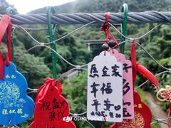 -西双版纳原始森林公园
