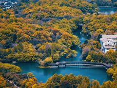 -九曜山