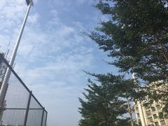 -西涌国际滨海旅游区