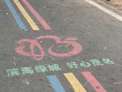 -广东茂名森林公园