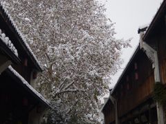 -院子餐厅·大锅菜·老杭帮(桥西直街店)